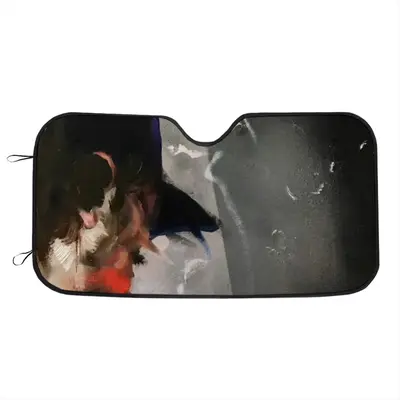 -P- Car Windshield Sunshade