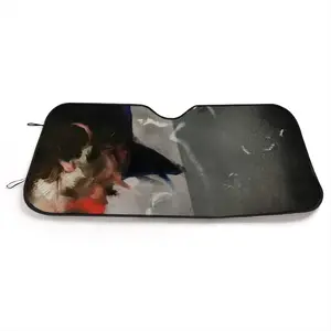 -P- Car Windshield Sunshade