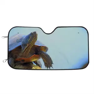 Proud Turtle - Southern Ontario Canada Car Windshield Sunshade