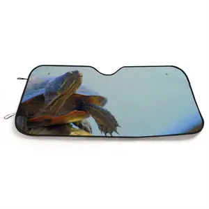 Proud Turtle - Southern Ontario Canada Car Windshield Sunshade