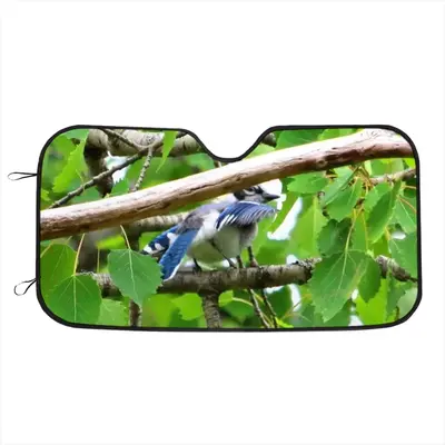 Blue Jay Peek-A-Boo Car Windshield Sunshade