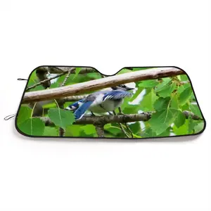 Blue Jay Peek-A-Boo Car Windshield Sunshade