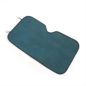 Aqua Blue Car Windshield Sunshade