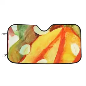 Color Game 2 Car Windshield Sunshade