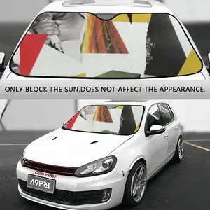 Singer Collage Car Windshield Sunshade