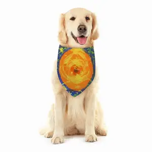 Infinite Ii Pets Scarf (Multi-Size)