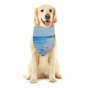 Now For The Big One Pets Scarf (Multi-Size)