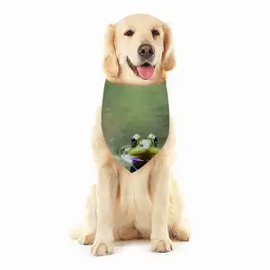 Green Frog - Staring Contest Pets Scarf (Multi-Size)