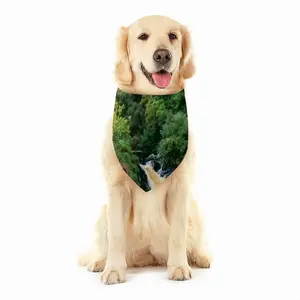 Gold Country Pets Scarf (Multi-Size)