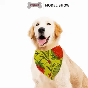 Raspberry Pets Scarf (Multi-Size)