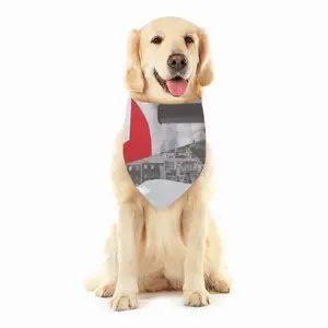 Wwf Polar Bear Pets Scarf (Multi-Size)