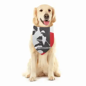 Ripped Ball Pets Scarf (Multi-Size)