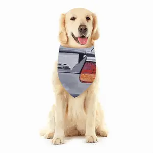 Carrera Gt Pets Scarf (Multi-Size)