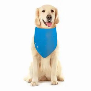 Gold Reef Pets Scarf (Multi-Size)