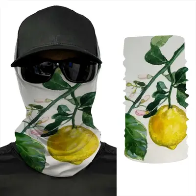 Lemon Branch Multipurpose Variety Turban