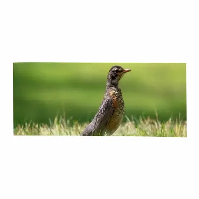 Bird In High Park Grass Yaga Mat