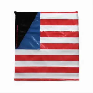 Pubic Flag United States Square Cushion