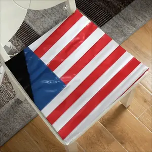 Pubic Flag United States Square Cushion