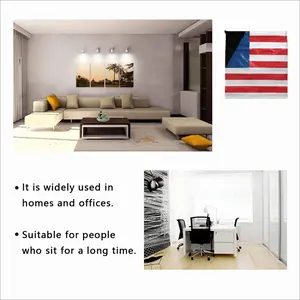 Pubic Flag United States Square Cushion