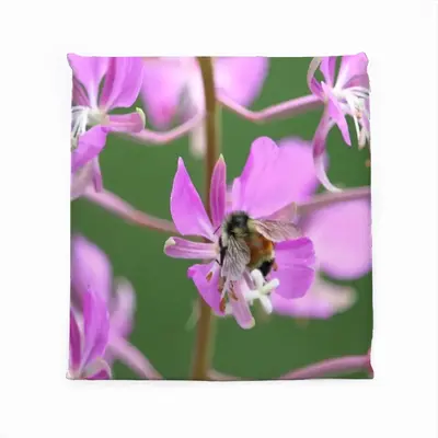 Kahshe Lake Buzzer Bee Square Cushion