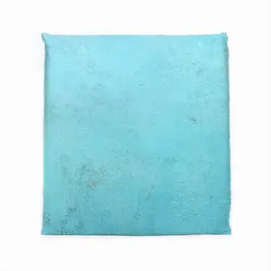 Silent Explorer Square Cushion