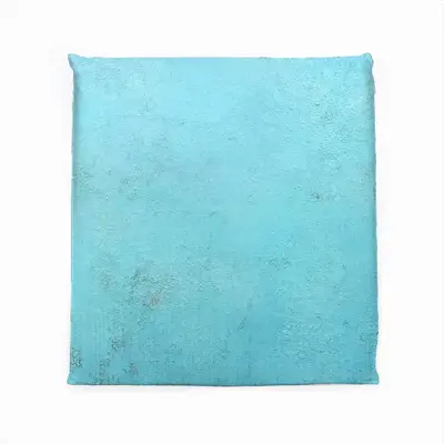 Silent Explorer Square Cushion