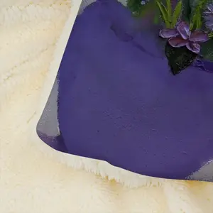 Purple 2019 Microfiber Blanket