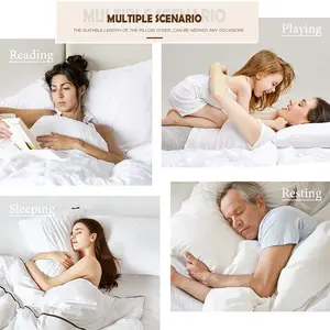 Arnold Schwarzenegger Long Pillow (Multi-Size)