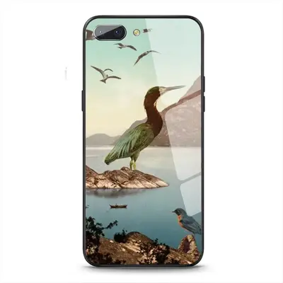 Bird Sanctuary OPPO A5-A3S Phone Case