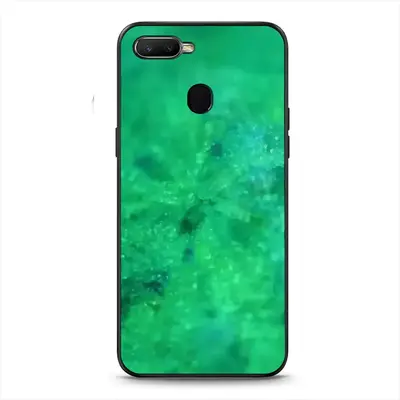 Growth 245 Seconds OPPO F9 Phone Case