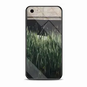 In The Weeds iPhone5S Phone Case (Tempered Film)