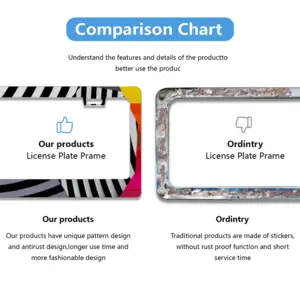 Paradoxal License Plate Frame (Flat Hole)