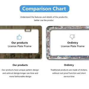 Complicated License Plate Frame (Flat Hole)