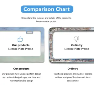 Freedom License Plate Frame (Flat Hole)