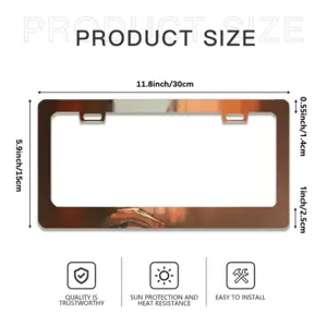 Venice Rio License Plate Frame (Flat Hole)