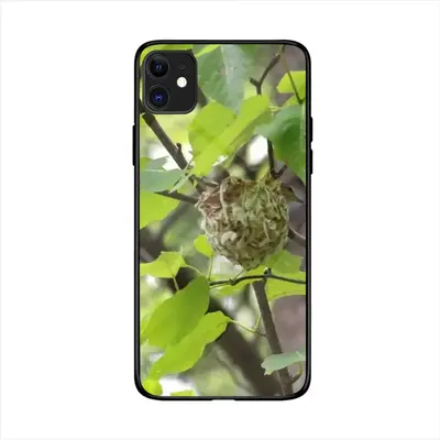 Baby Bird In A Nest iPhone 11 Phone Case (Tempered Film)