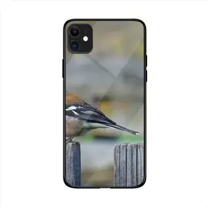 Bird iPhone 11 Phone Case (Tempered Film)