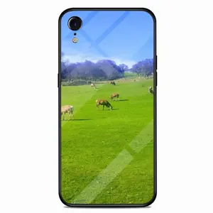 Young Stags At Helmsdale iPhone XR Phone Case (Tempered Film)