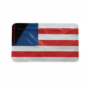 Pubic Flag United States Mask Storage Box