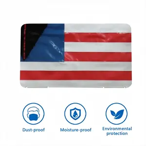 Pubic Flag United States Mask Storage Box