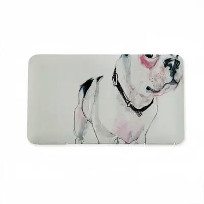 Boston Terrier Mask Storage Box