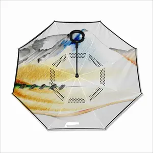 Enigmatical 1 Reverse Umbrella