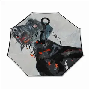 Attack Reverse Umbrella