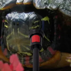 Big New Hampshire Turtle Reverse Umbrella