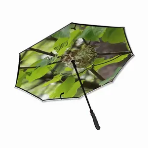 Baby Bird In A Nest Reverse Umbrella