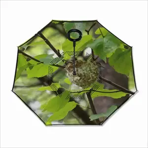 Baby Bird In A Nest Reverse Umbrella