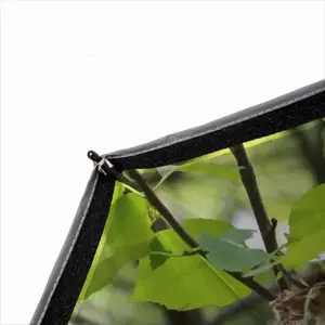 Baby Bird In A Nest Reverse Umbrella