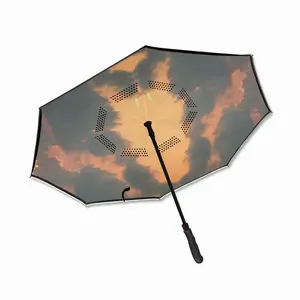 Bermuda Dragon Sunset Reverse Umbrella