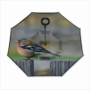 Bird Reverse Umbrella