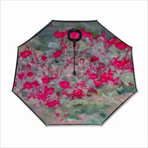 Dianthus Reverse Umbrella